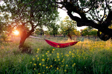 Load image into Gallery viewer, Silk Traveller XL