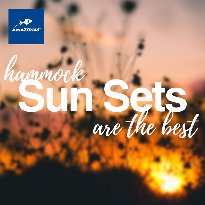 Hammock Sunsets: Chasing Scenic Views and Tranquility
